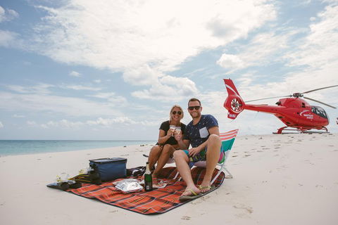 Private Helicopter Tour: Reef Island Snorkeling And Gourmet Picnic Lunch - Accommodation Sunshine Coast 1