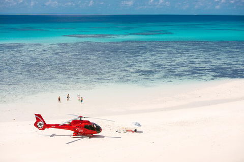 Private Helicopter Tour: Reef Island Snorkeling And Gourmet Picnic Lunch - Accommodation Sunshine Coast 2