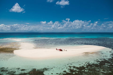 Private Helicopter Tour: Reef Island Snorkeling And Gourmet Picnic Lunch - Accommodation Sunshine Coast 4