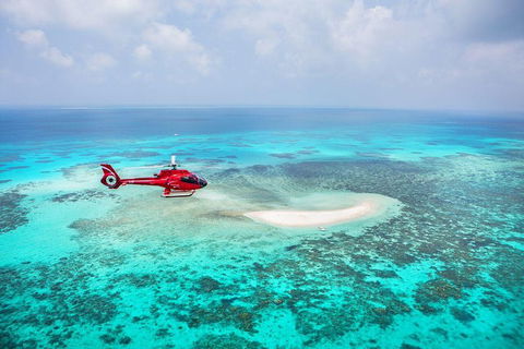 Private Helicopter Tour: Reef Island Snorkeling And Gourmet Picnic Lunch - Accommodation Sunshine Coast 5