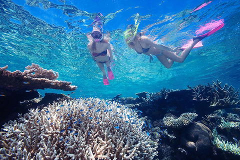 Great Barrier Reef Scenic Helicopter Tour And Cruise From Cairns - Accommodation Sunshine Coast 3