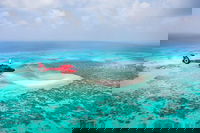 Great Barrier Reef 30-Minute Scenic Helicopter Tour from Cairns