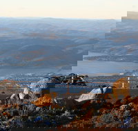 Mt. Wellington Bonorong and Richmond Day Tour from Hobart - Accommodation Sunshine Coast