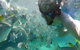 Moreton Island Snorkel And Sandboarding 4WD Day Trip From Brisbane - thumb 3