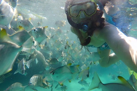Moreton Island Snorkel And Sandboarding 4WD Day Trip From Brisbane - Accommodation Sunshine Coast 3
