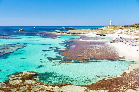 Rottnest Island Bike & Ferry Package From Fremantle - Accommodation Sunshine Coast 5