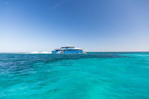 Rottnest Island Fortress Adventure Segway Package From Fremantle - Accommodation Sunshine Coast 0