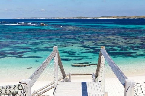 Rottnest Island Bayseeker Day Trip From Perth - Accommodation Sunshine Coast 3