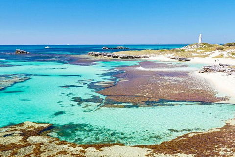 Rottnest Island Bayseeker Day Trip From Perth - Accommodation Sunshine Coast 4