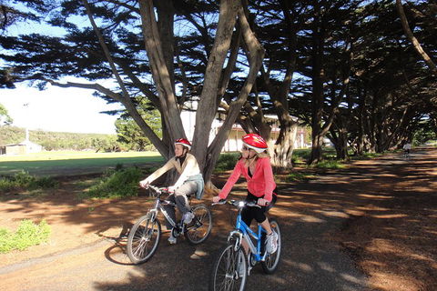 Self-Guided Point Nepean National Park Bike Hire - Accommodation Sunshine Coast 2