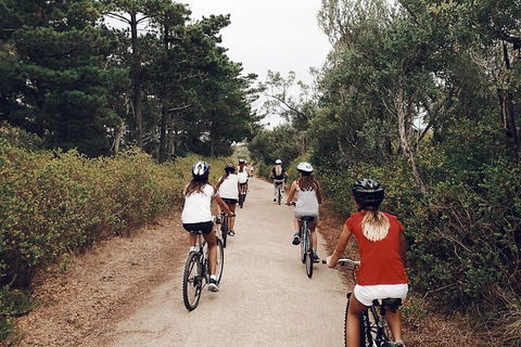 Self-Guided Point Nepean National Park Bike Hire - Accommodation Sunshine Coast 3