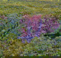 Litchfield Park  Daly River - Scenic Flight From Darwin - Accommodation Sunshine Coast