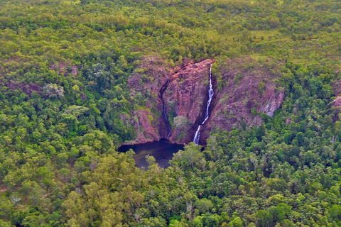 Litchfield Park & Daly River - Scenic Flight From Darwin - Accommodation Sunshine Coast 0