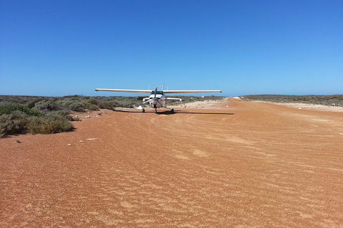 Abrolhos Islands Scenic Flight & Snorkel Adventure From Perth - Accommodation Sunshine Coast 3