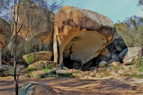 Wave Rock Half Day Air & Ground Tour - Accommodation Sunshine Coast 1
