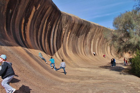 Wave Rock Half Day Air & Ground Tour - Accommodation Sunshine Coast 2