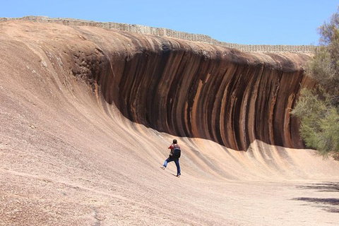 Wave Rock Half Day Air & Ground Tour - Accommodation Sunshine Coast 3