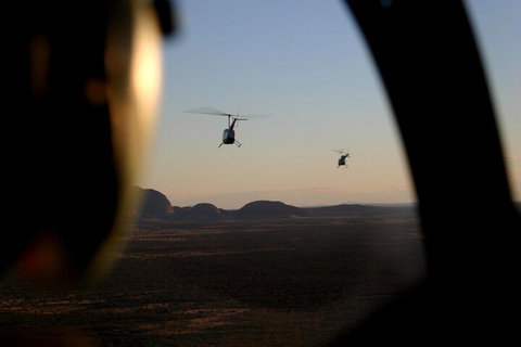 Helicopter Scenic: Lizard Safari - Accommodation Sunshine Coast 1