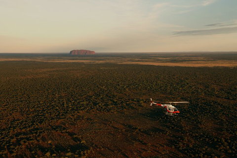 Helicopter Scenic: Lizard Safari - Accommodation Sunshine Coast 4