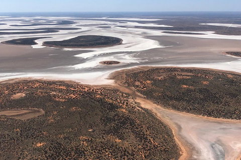 Helicopter Scenic: Lizard Safari - Accommodation Sunshine Coast 5