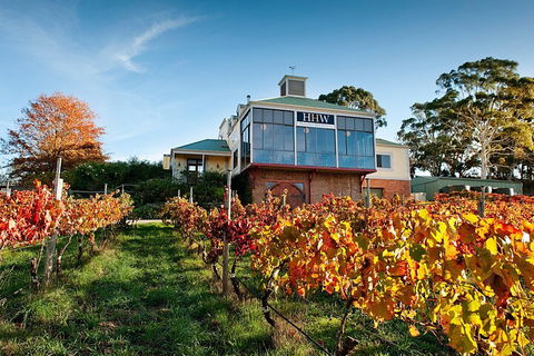 Adelaide Hills Food, Wine, Cheese, & Chocolate - Private Day Tour - Accommodation Sunshine Coast 3