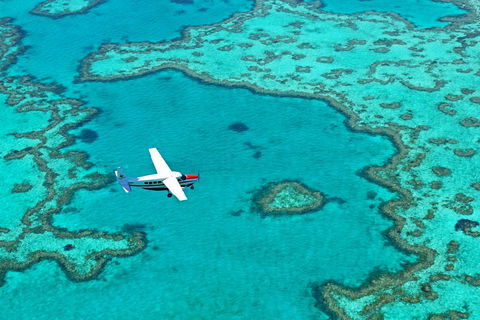 Reef And Island Scenic Flight From Airlie Beach - Accommodation Sunshine Coast 4