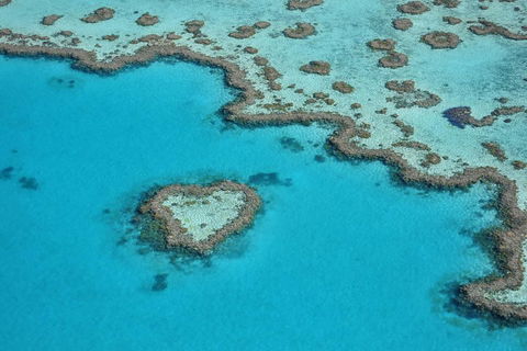 Reef And Island Scenic Flight From Airlie Beach - Accommodation Sunshine Coast 5
