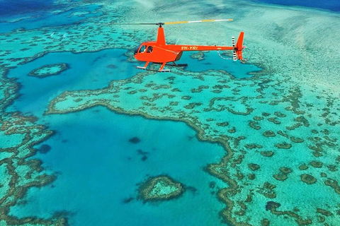 Whitehaven Heli Tour - Accommodation Sunshine Coast 3
