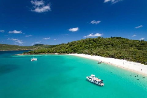 Whitehaven Beach And Hill Inlet | Awesome Beach BBQ | Family Friendly - Accommodation Sunshine Coast 3