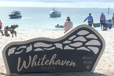 Whitehaven Beach And Hill Inlet | Awesome Beach BBQ | Family Friendly - Accommodation Sunshine Coast 5