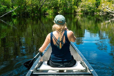 Cruise 'n' Canoe To Australia's Everglades - Accommodation Sunshine Coast 0