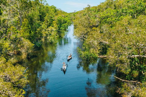 Cruise 'n' Canoe To Australia's Everglades - Accommodation Sunshine Coast 3