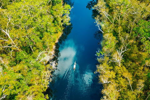 Cruise 'n' Canoe To Australia's Everglades - Accommodation Sunshine Coast 4