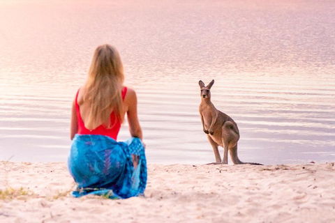 Cruise 'n' Canoe To Australia's Everglades - Accommodation Sunshine Coast 5