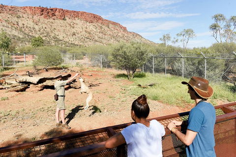 Alice Springs Desert Park General Entry Ticket - Accommodation Sunshine Coast 4