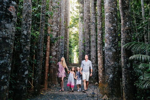 The Original Day Tour To Paronella Park, Lake Barrine And Millaa Millaa Falls - Accommodation Sunshine Coast 1
