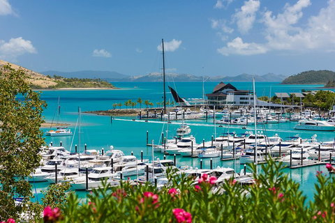 Whitehaven Beach And Hamilton Island Cruise - Accommodation Sunshine Coast 3