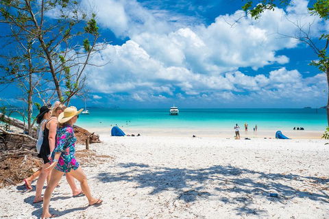 Whitehaven Beach Half-Day Cruises - Accommodation Sunshine Coast 1