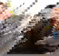 Bonorong Wildlife Park and Richmond Afternoon Tour from Hobart - Accommodation Sunshine Coast