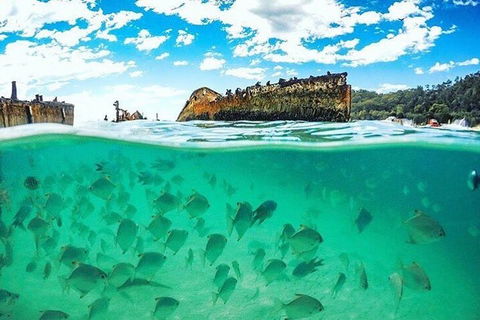 Adventure Moreton Island Day Pass - Accommodation Sunshine Coast 4