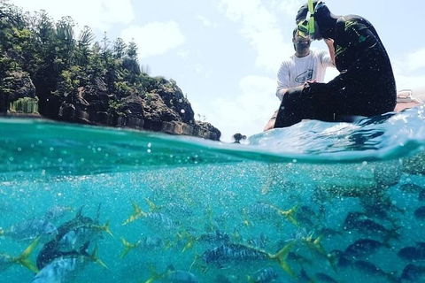 2 Night Small Group Whitsundays Sailing Adventure Aboard Mandrake - Accommodation Sunshine Coast 5