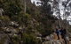 Kunanyi / Mt. Wellington Guided Hiking Tour - thumb 0