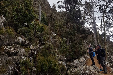 Kunanyi / Mt. Wellington Guided Hiking Tour - Accommodation Sunshine Coast 0