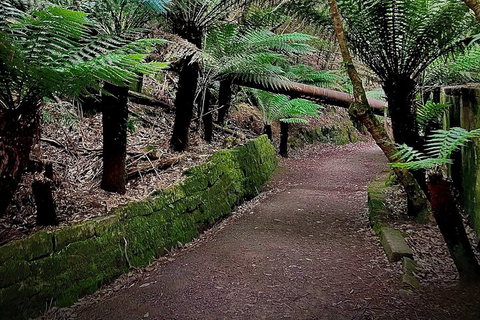 Kunanyi / Mt. Wellington Guided Hiking Tour - Accommodation Sunshine Coast 1