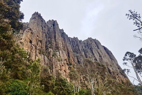 Kunanyi / Mt. Wellington Guided Hiking Tour - Accommodation Sunshine Coast 4