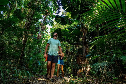 Full Day Daintree Rainforest And Mossman Gorge Tour - Accommodation Sunshine Coast 0