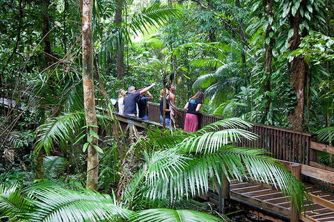 Full Day Daintree Rainforest And Mossman Gorge Tour - Accommodation Sunshine Coast 1
