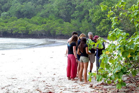 Full Day Daintree Rainforest And Mossman Gorge Tour - Accommodation Sunshine Coast 2