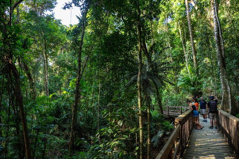 Full Day Daintree Rainforest And Mossman Gorge Tour - Accommodation Sunshine Coast 5