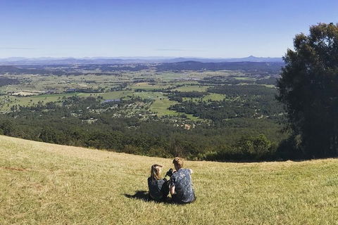 Mt Tamborine - Hinterland Wonders Self Guided - Accommodation Sunshine Coast 4
